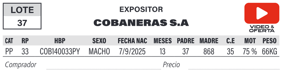Lote LOTE 37