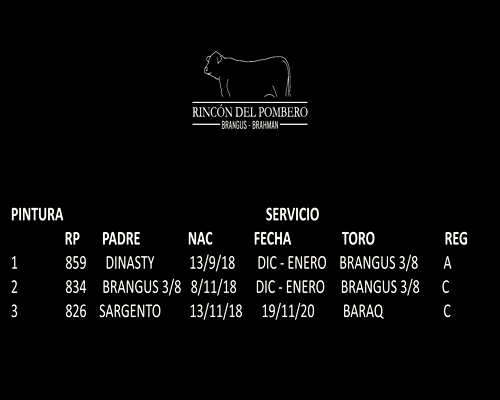 Lote TRIO VAQUILLAS COLORADAS