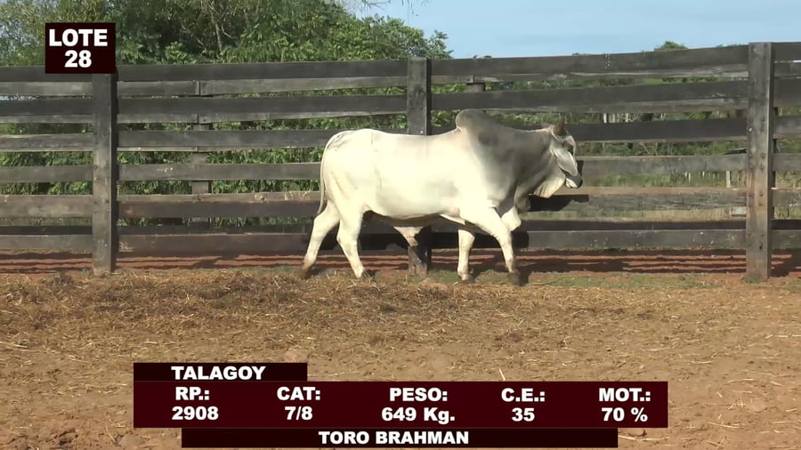 Lote Cabañas de Tradición - Lote 28