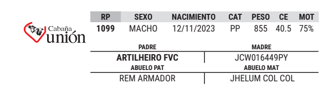 Lote LOTE 51