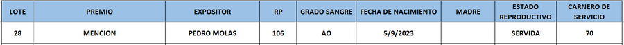 Lote LOTE 28