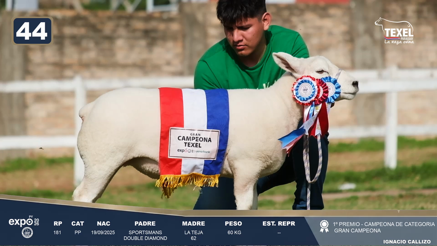 Lote LOTE 44