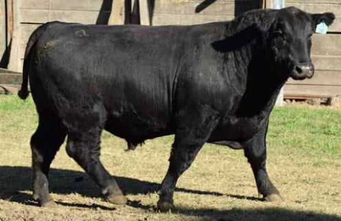 Lote CABAÑA "COEMBOTA" DE CALDERÓN RP 149