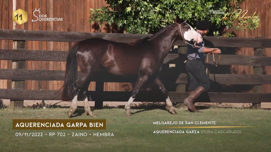 Lote AQUERENCIADA GARPA BIEN