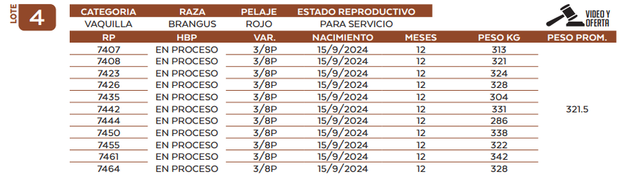 Lote LOTE 4