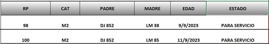 Lote LOTE 83