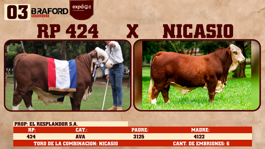 Lote LOTE 3