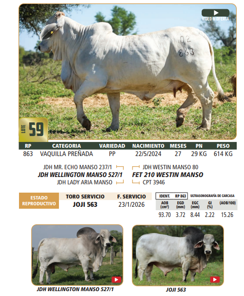 Lote LOTE 59