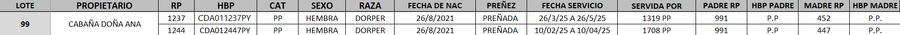 Lote LOTE 99