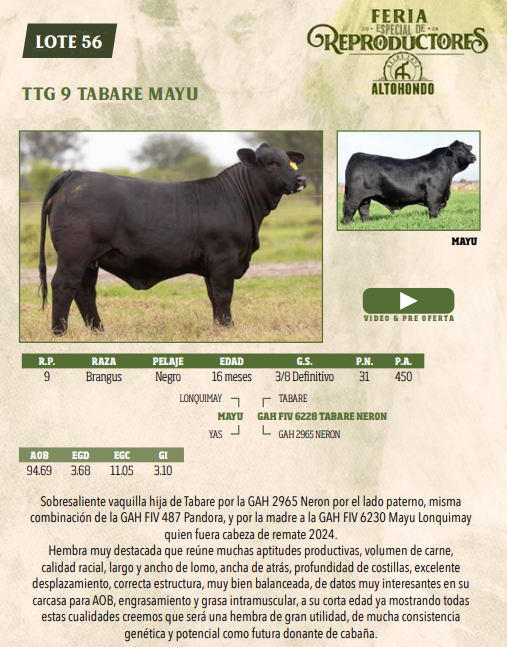 Lote LOTE 56