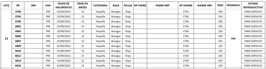 Lote LOTE 13