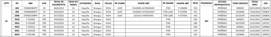 Lote LOTE 16