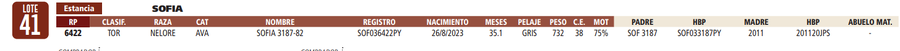 Lote LOTE 41