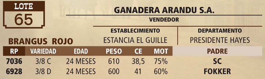 Lote LOTE 65 - VIVO