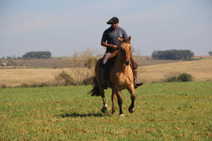 Lote ALMENDRA DEL CONVENTOS