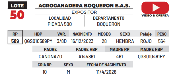 Lote LOTE 50 -DE CAMPO