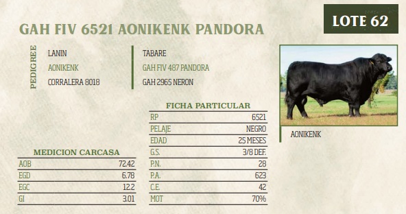 Lote LOTE 62