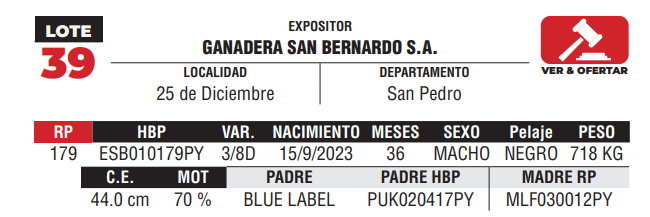 Lote LOTE 39 - DE CAMPO