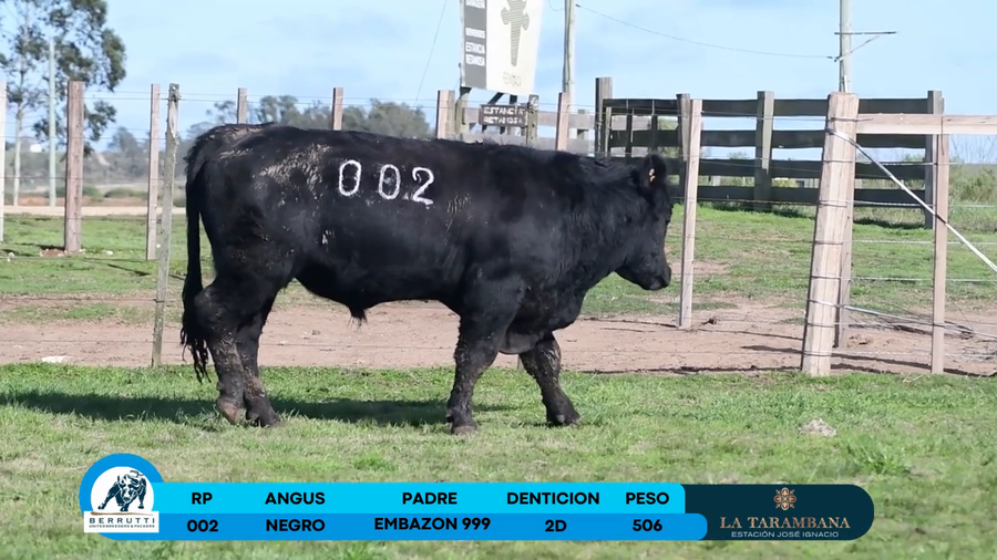 Lote Toro