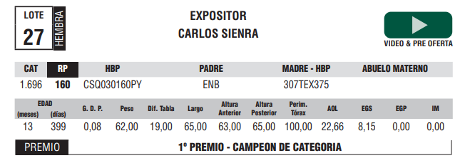 Lote LOTE 27