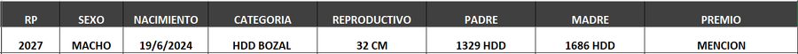 Lote LOTE 26- BOZAL