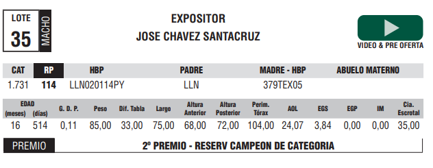 Lote LOTE 35