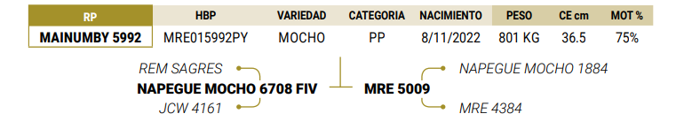 Lote LOTE 25