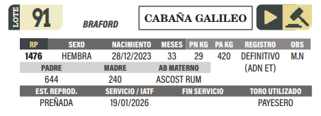 Lote LOTE 91
