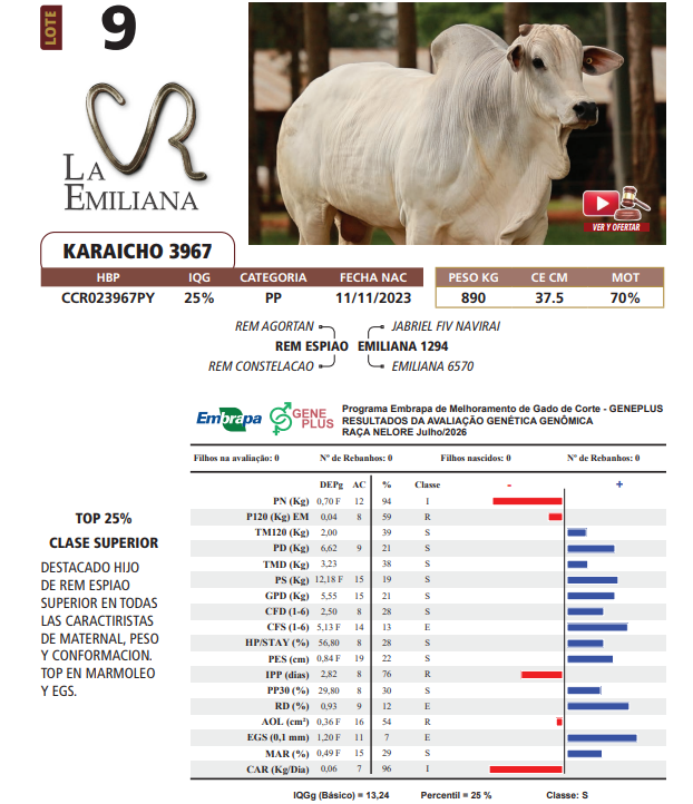 Lote LOTE 9