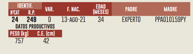 Imagen 2 del Lote Lote LOTE 22