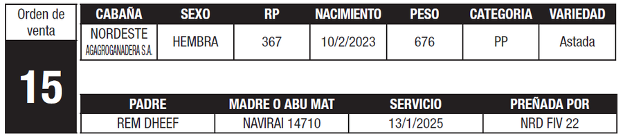 Lote LOTE 15