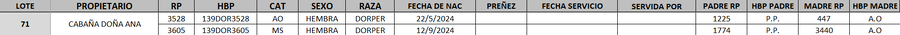 Lote LOTE 71