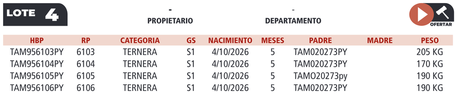 Lote LOTE 4