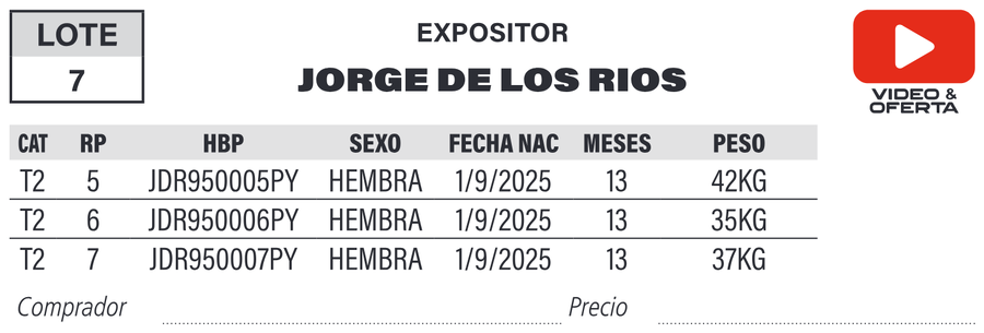 Lote LOTE 7