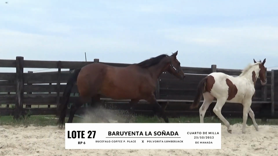 Lote BARUYENTA LA SOÑADA