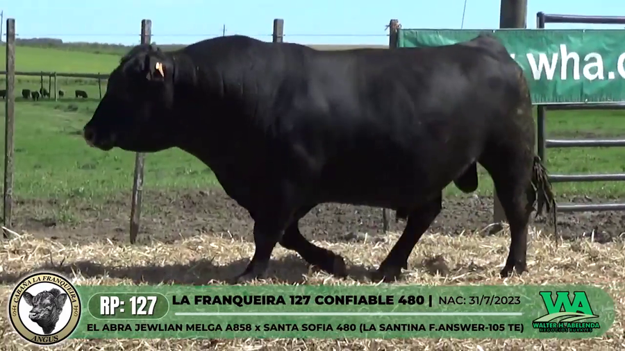 Lote LA FRANQUEIRA 127 CONFIABLE 480