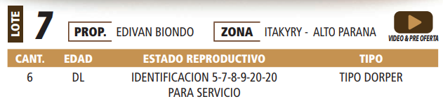 Lote LOTE 7 -POR PANTALLA