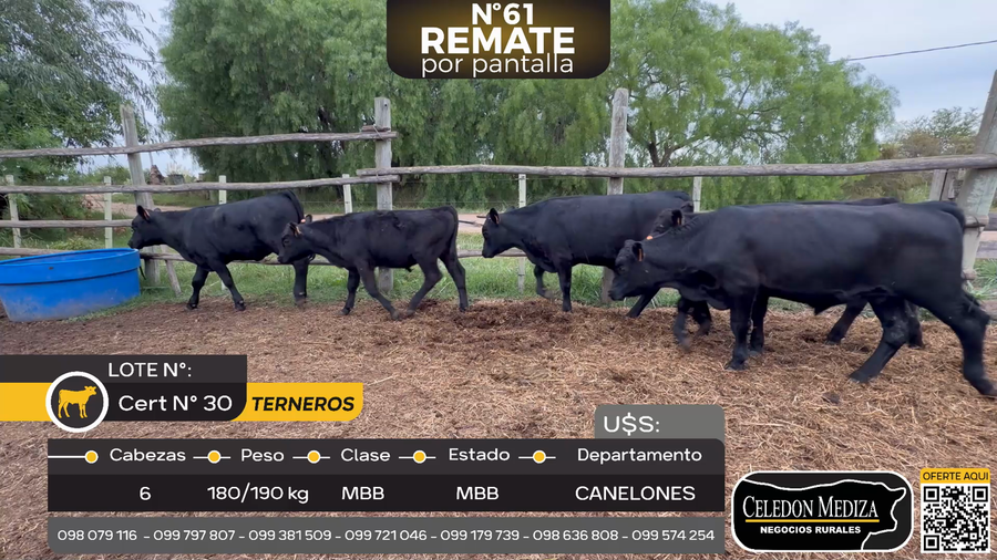 Lote 6 Terneros en a 4 km de Los Cerrillos, Canelones