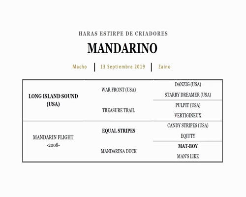 Lote PABLITO JOHAN (CURIOSO JOHAN - PAULISTINHA)