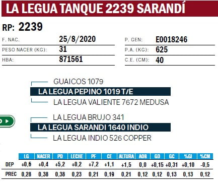 Lote TOROS ANGUS PURO DE PEDIGREE