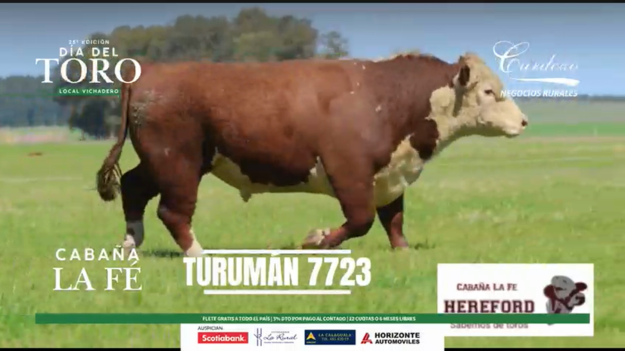 Lote La Fe - Hereford