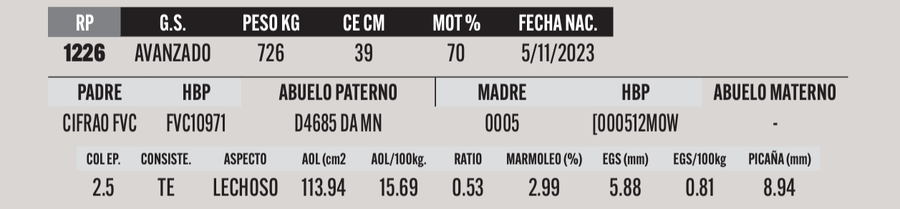 Lote LOTE 43