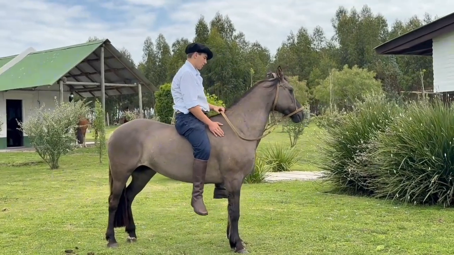 Lote VIENDOTE DE LA SIERRA