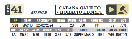 Lote LOTE 41