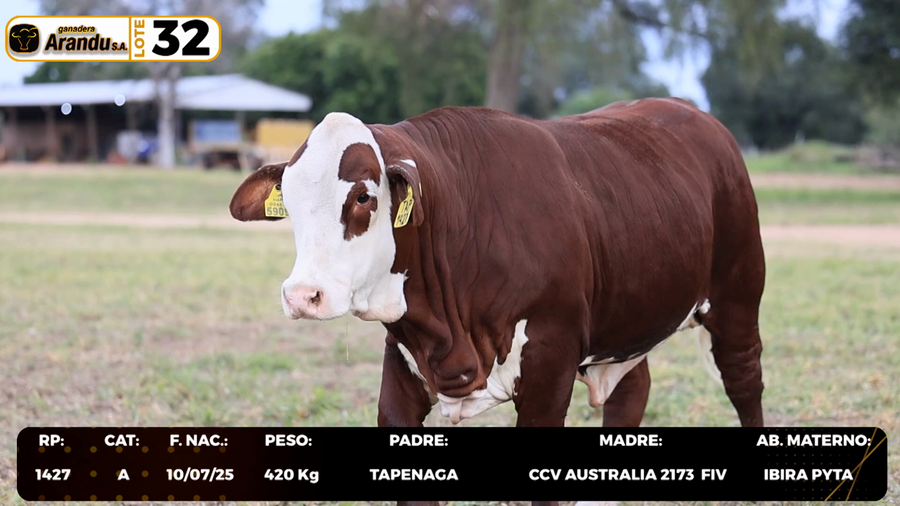 Lote LOTE 32