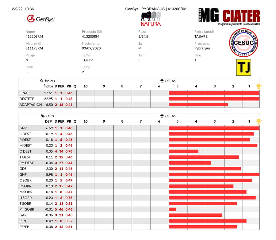 Lote LOTE 28