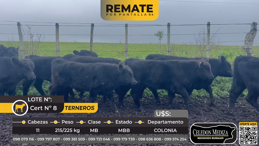 Lote 11 Terneros en Colonia Arce, a 7 km de Carmelo, Colonia