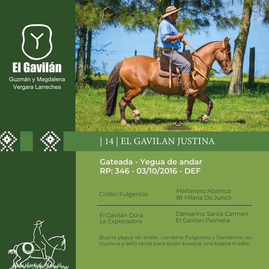 Lote El Gavilan Justina (RP 346) Cabaña "El Gavilan"