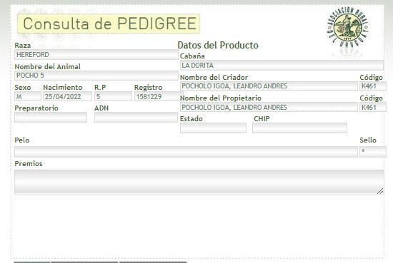 Lote TORO PI - RP 05