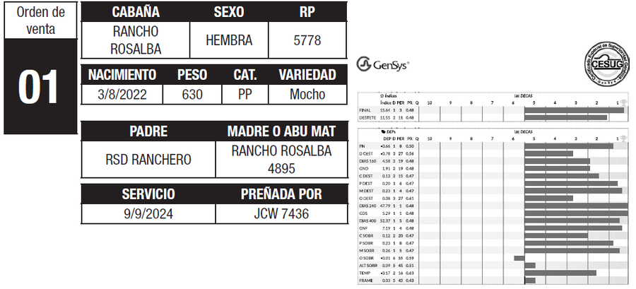 Lote LOTE 1